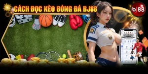 cách đọc kèo bóng đá bj88 - ảnh đại diện